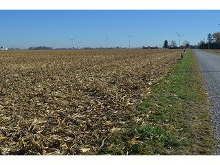 Tract 1 - FARMLAND AUCTION - 165.5+/- ACRES OFFERED IN 5 TRACTS OR COMBINATIONS IN EAST ALLEN COUNTY